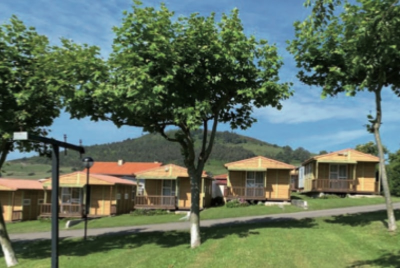 Campamento de verano para mayores de edad (2)