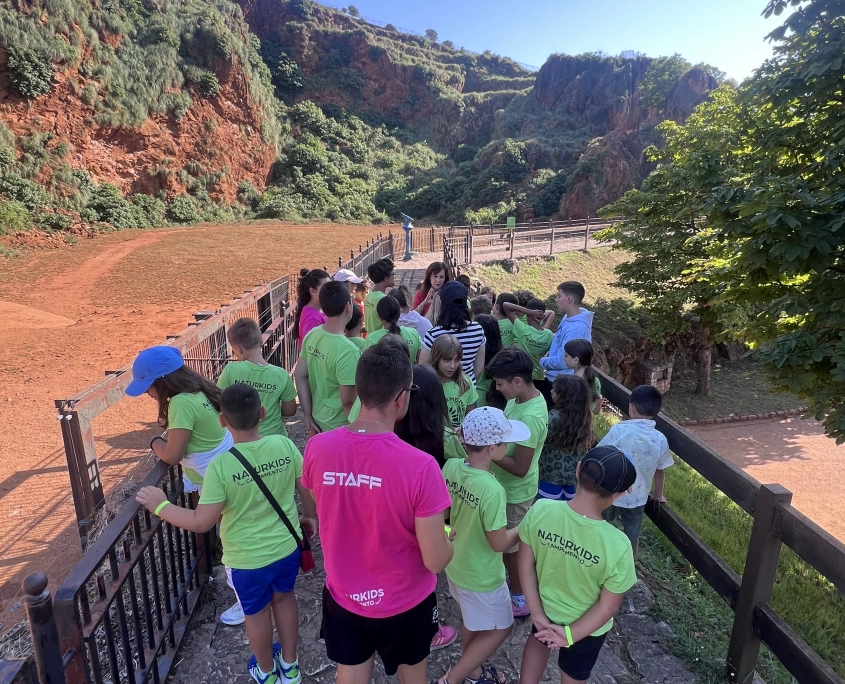 campamento-escolar-senderismo grupo-campamento-escolar-sendirismo