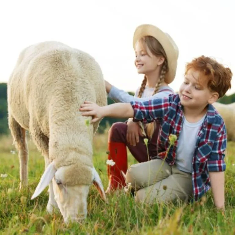 Actividad aventura entre animales